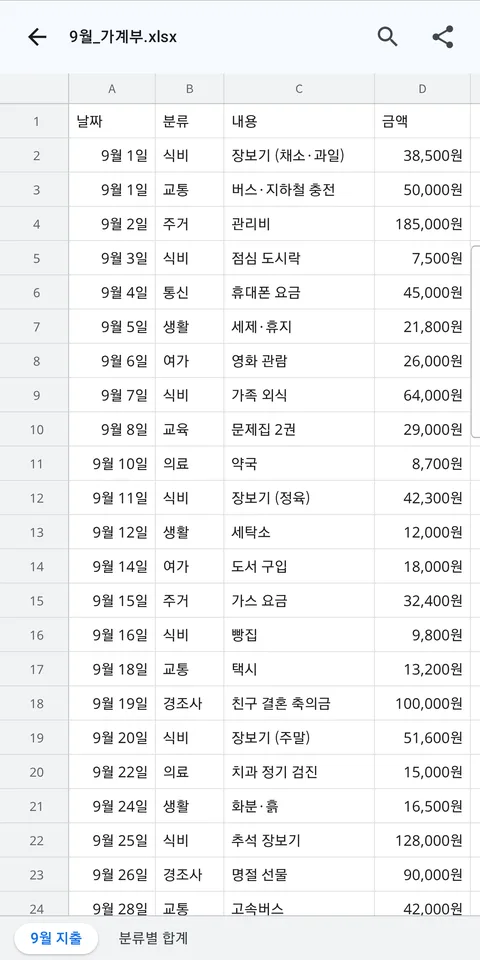 엑셀 가계부를 연 화면